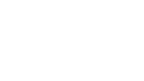 system1