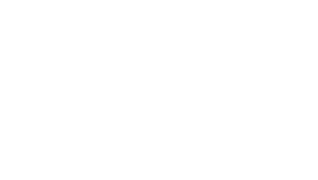 zappi